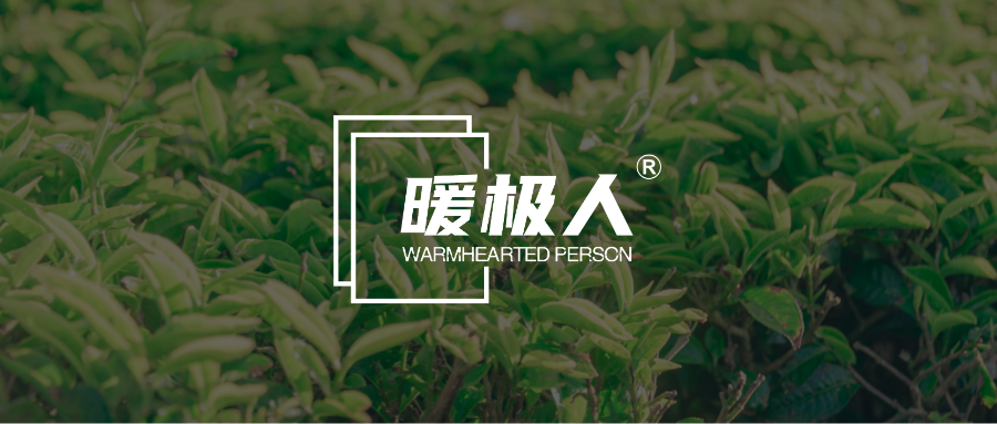 AI設(shè)計師-極簡logo效果圖.png